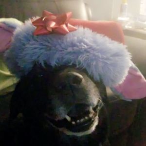 Meet your Posher, Sharon